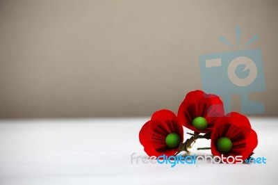 Red Poppy Flowers Stock Photo