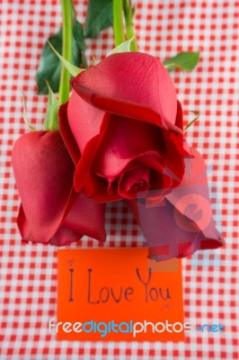 Red Rose With Message Card Image Of Valentines Day Stock Photo