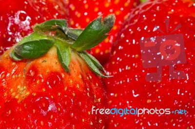 Red Strawberry Stock Photo