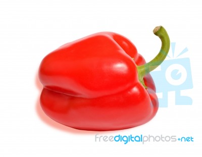 Red Sweet Pepper Stock Photo