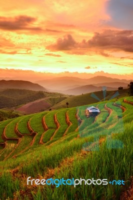 Rice Terraces With Sunset Backdrop At Ban Papongpieng Chiangmai Stock Photo