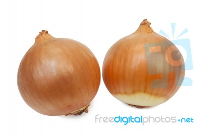 Ripe Onion Stock Photo