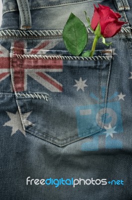 Rose In Blue Jeans Pocket Stock Photo