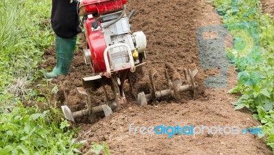 Rotary Cultivator Working In Garden Stock Photo