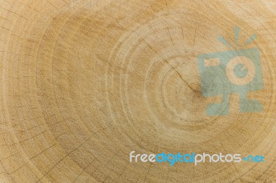 Rough Wood Grain Texture Stock Photo