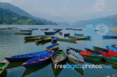 Rowboat At Phewa Lake,pokhara,nepal Stock Photo