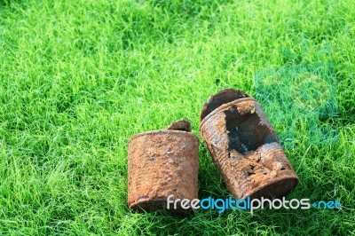 Rusty Can On Young Grass Stock Photo