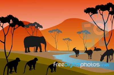 Safari Stock Image