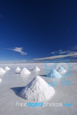 Salt Farm Stock Photo