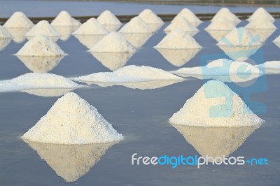 Salt Fields With Piled Up Sea Salt In Thailand Stock Photo