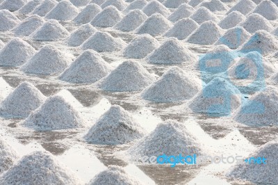 Salt Harvest Stock Photo
