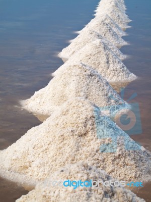 Salt Pan Stock Photo