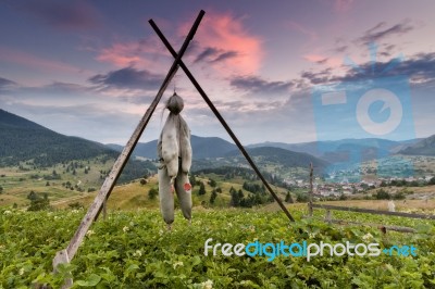 Scarecrow Stock Photo Scarecrow Stock Photo