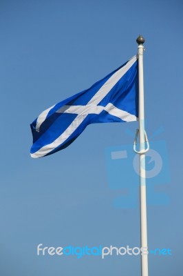 Scottish Flag Stock Photo