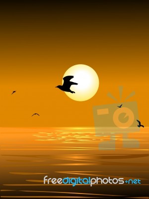 Sea Bird And Sunset Stock Image