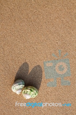Sea Shells With Sand As Background Stock Photo