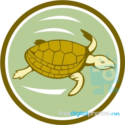 Sea Turtle Swimming Circle Cartoon Stock Image