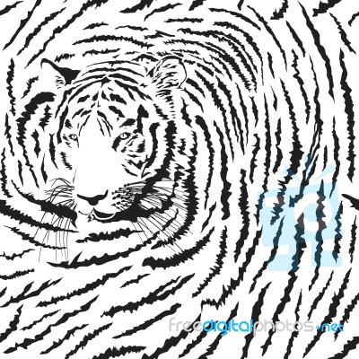 Seamless Background Tiger, Latin Panthera Tigris Tigris Stock Image