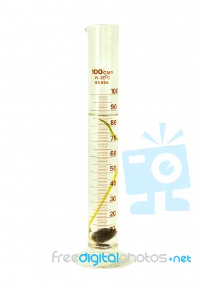 Seed In Test Tube Stock Photo
