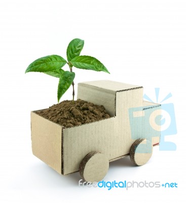 Seedling In Car Stock Photo