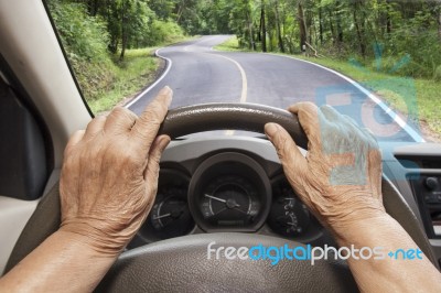 Insurance Insurance
