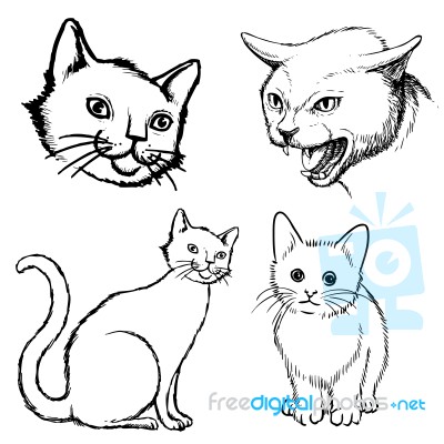 Set Of Cat Doodle Hand Drawn Stock Image