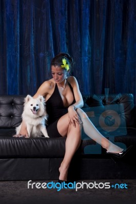 Sexy Widow Woman In Black Dress Holding And Looking On White Dog… Stock Photo