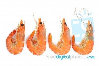 Shrimp Stock Photo