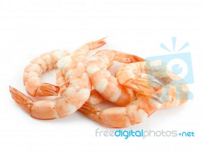 Shrimps Stock Photo