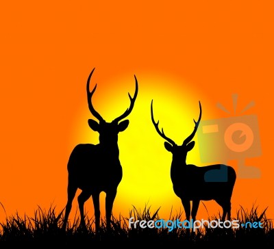 Silhouette Of Deer Stock Photo