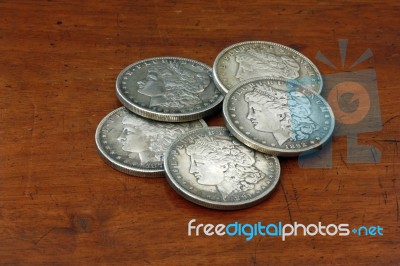 Silver Dollars Stock Photo