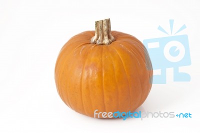Single Fresh Pumpkin Stock Photo