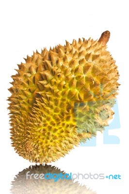 Single Whole Durian Isolated On White Background Stock Photo