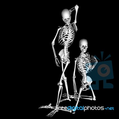 Skeleton Stock Image