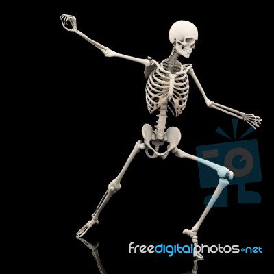 Skeleton  Stock Image