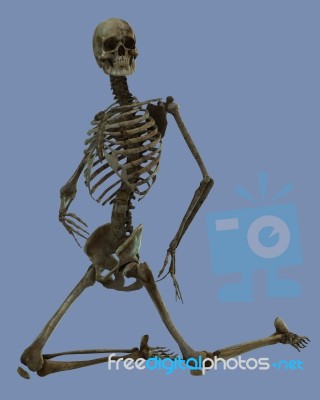 skeleton kneeling down Stock Image