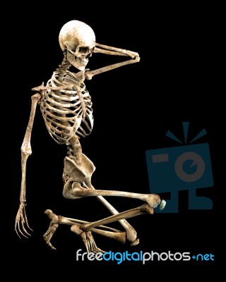 Skeleton Kneeling Pose Stock Image