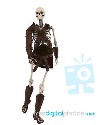 Skeleton Warrior Stock Image