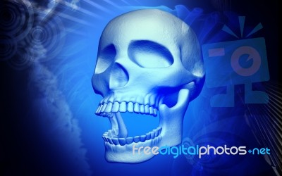 Skull Stock Image