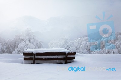 Snowy Bench Stock Photo