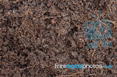 Soil Background Stock Photo