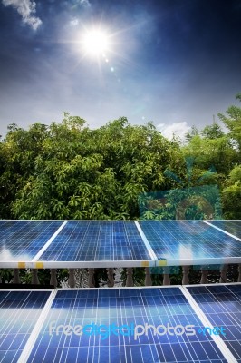 Solar Cells Stock Photo