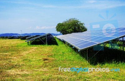 Solar Panels On The Lawn Stock Photo