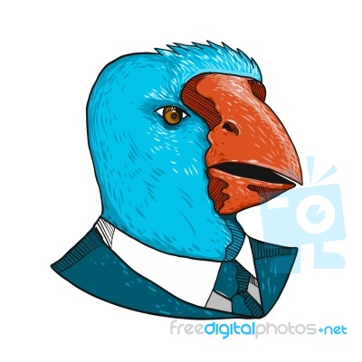 South Island Takahe In Business Suit Drawing Stock Image