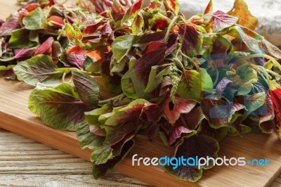 Spinach Red Fresh Vegetable Organic Cooking Salad Stock Photo