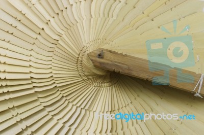 Spiral Fan Bamboo Stock Photo