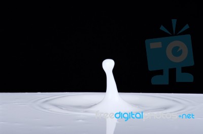 Splash Of Milk Stock Photo