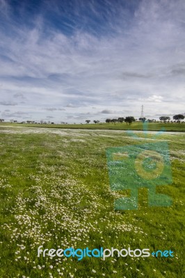 Spring Countryside Landscape Stock Photo