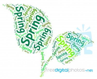 Spring Word Indicates Warmth Words And Text Stock Image