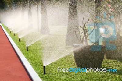 Sprinkler Watering The Grass Stock Photo